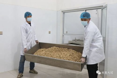 大城县小微企业转型初探 专注舌尖上的品质 市场调研