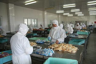 永泰县水产生产主体调查摸底工作顺利开展，助力市场精准调研