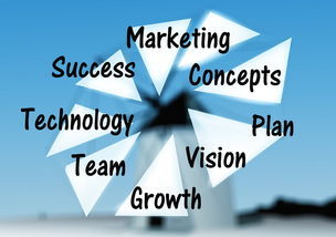 武汉服装品牌创业之路 市场调研的关键作用与成功案例分析